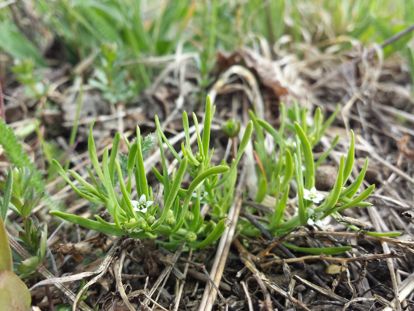 20190407_091233.jpg