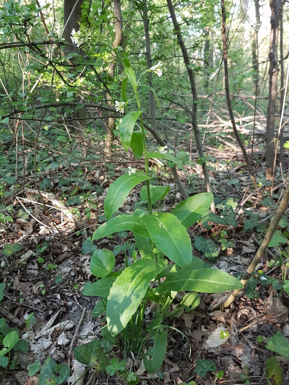 20190415_175705.jpg