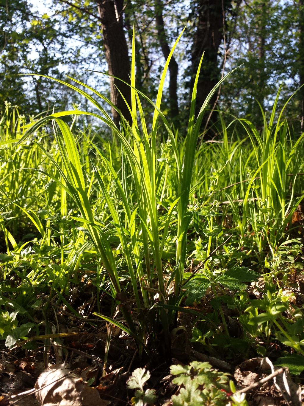 20190416_172224.jpg