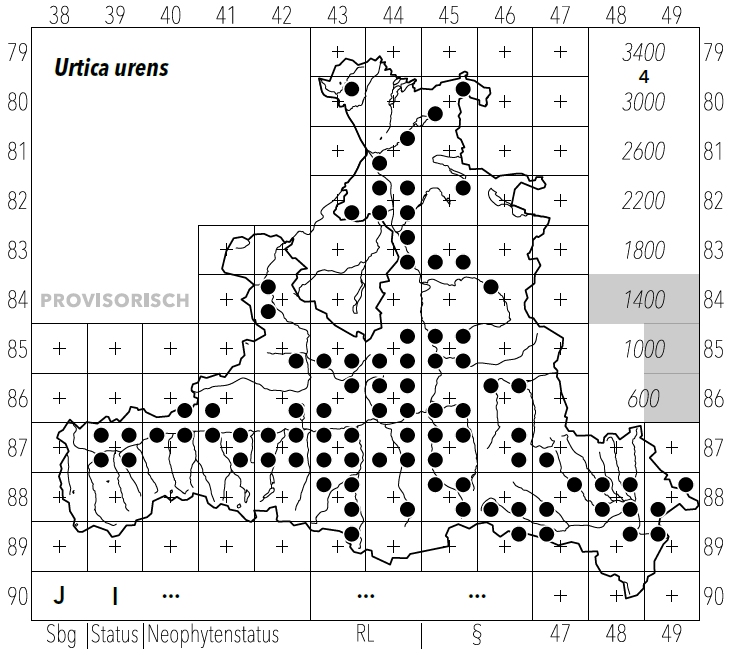 Urtica urens karte.jpg