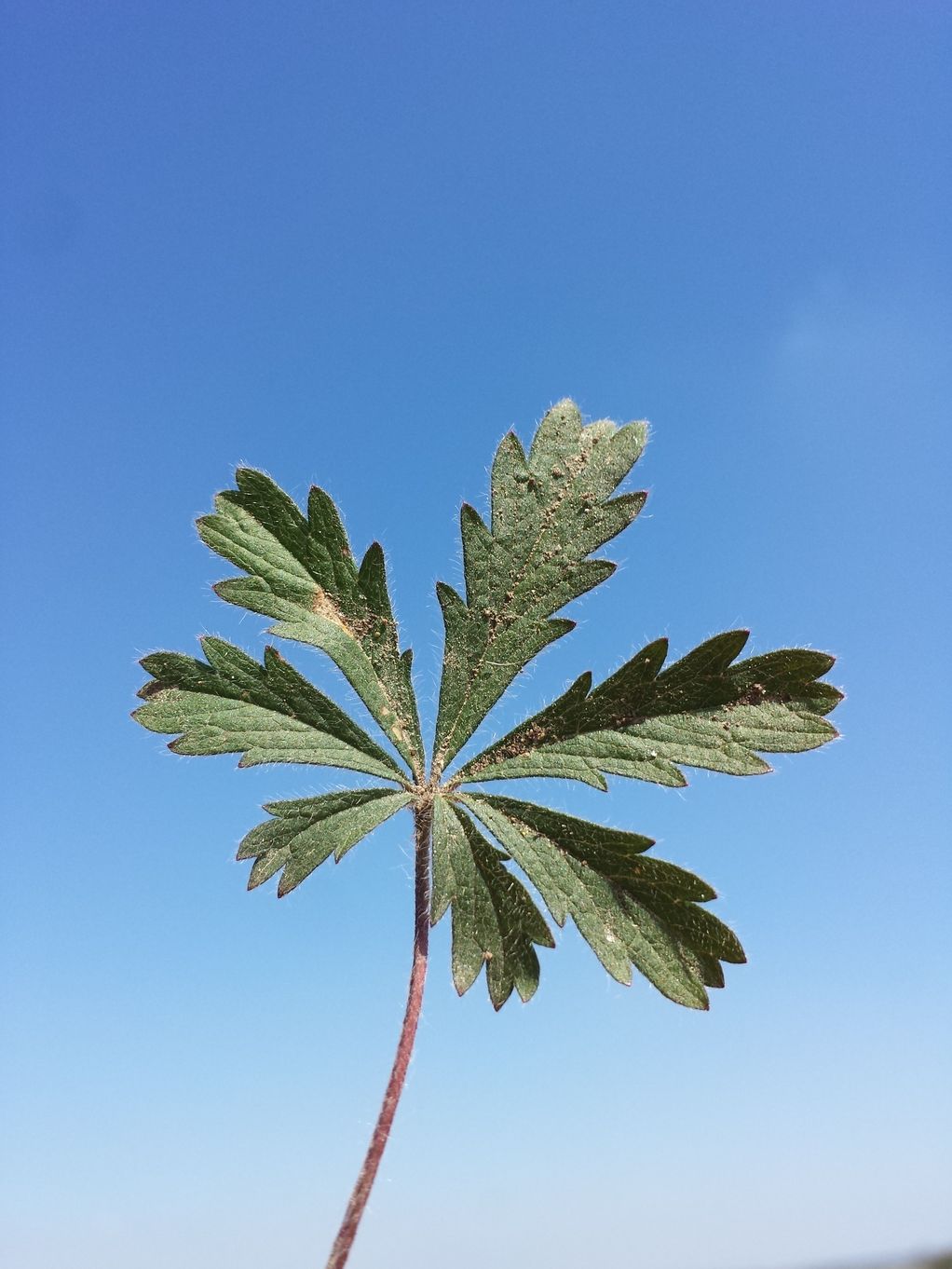 20190418_110659.jpg