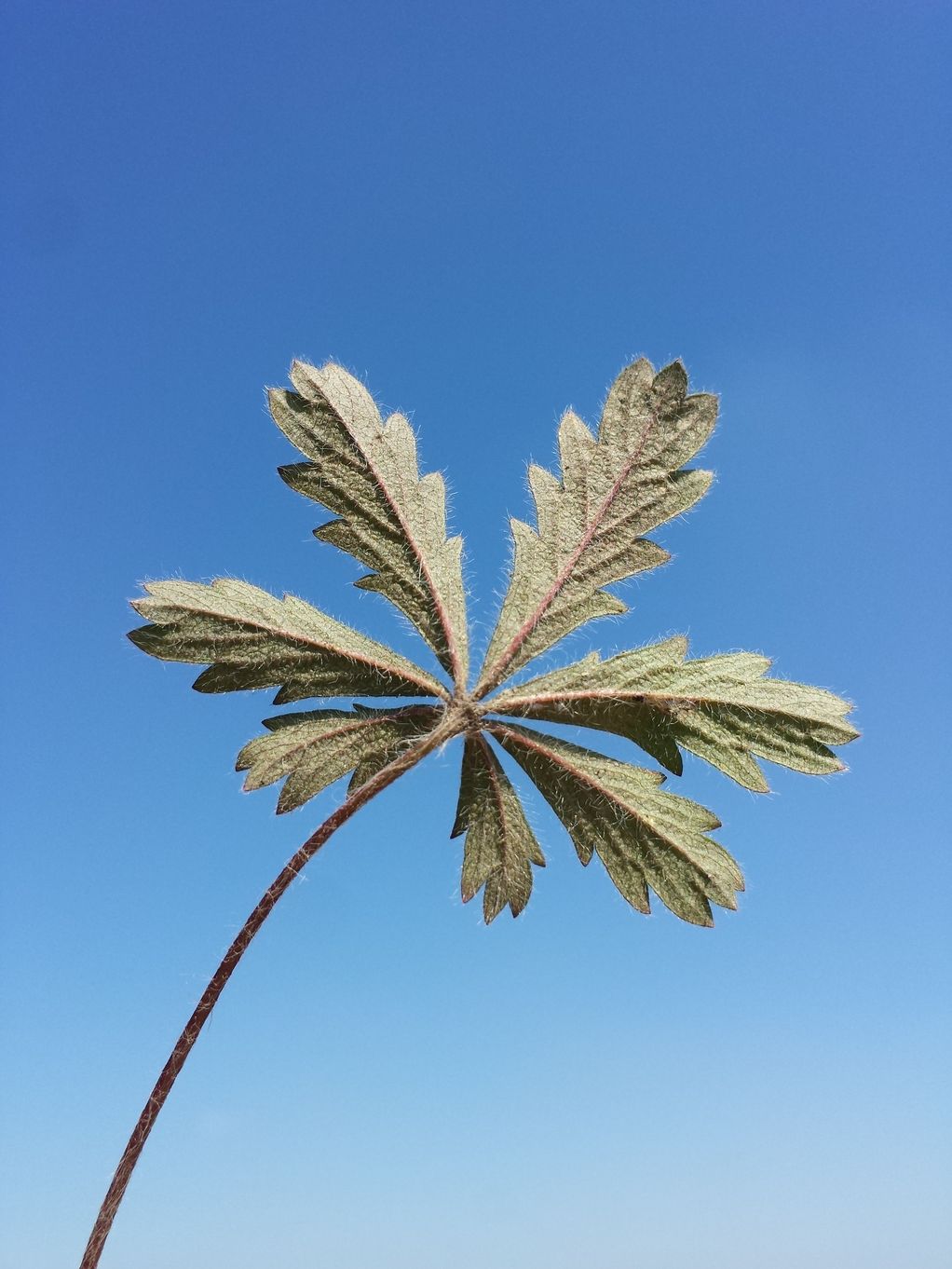 20190418_110726.jpg