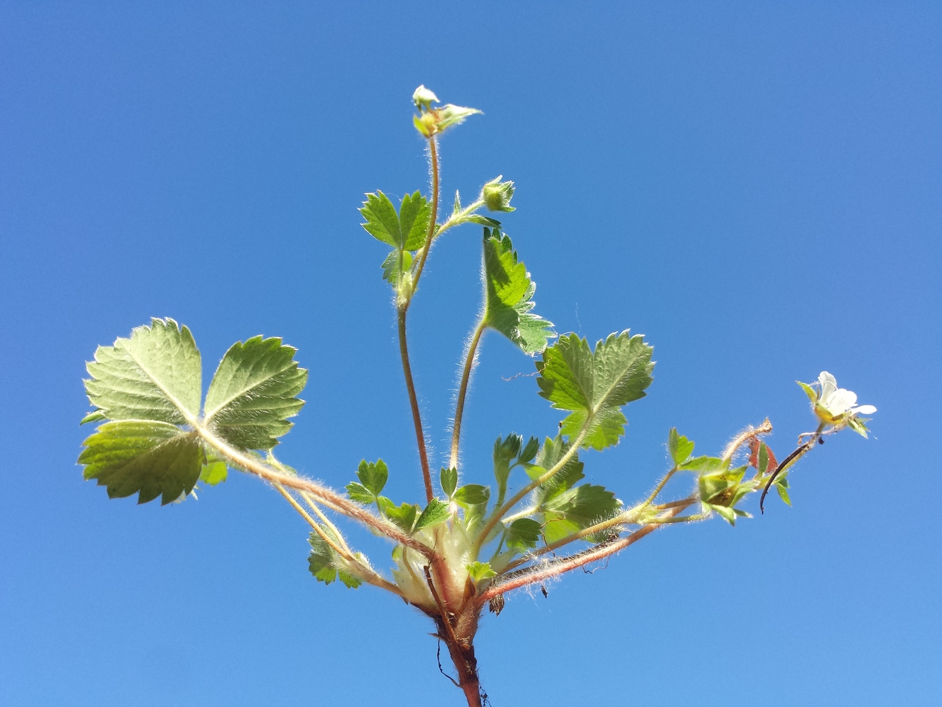 20190420_160102.jpg