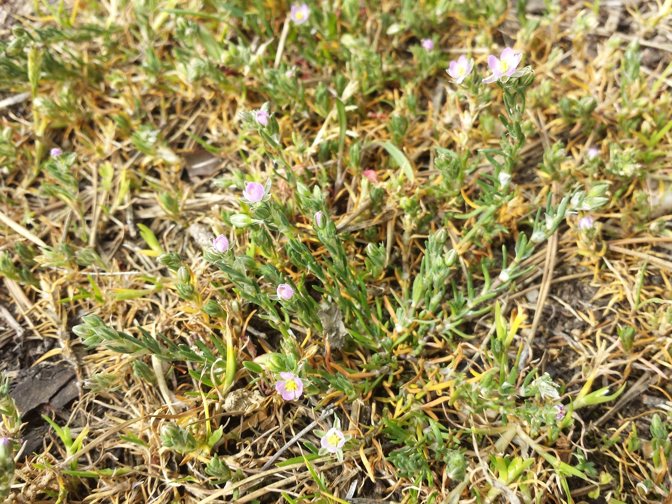 20190426_154102.jpg