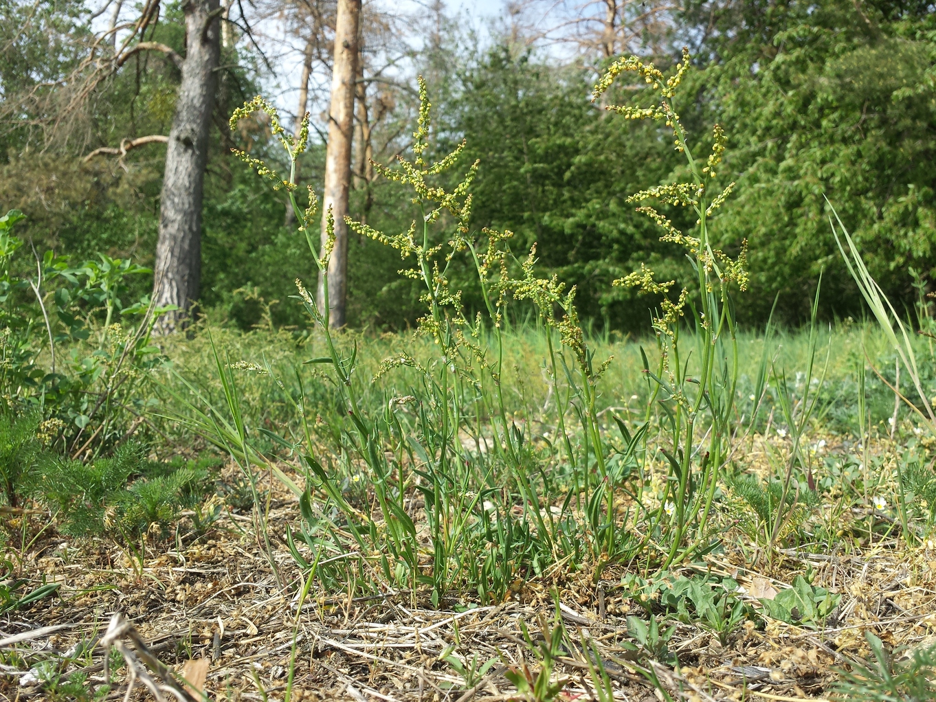 20190426_160955.jpg