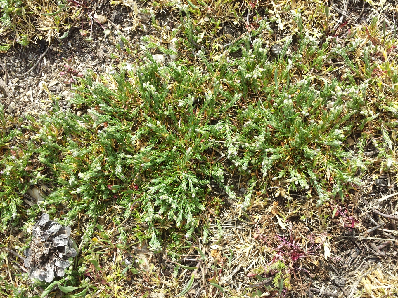 20190426_161238.jpg