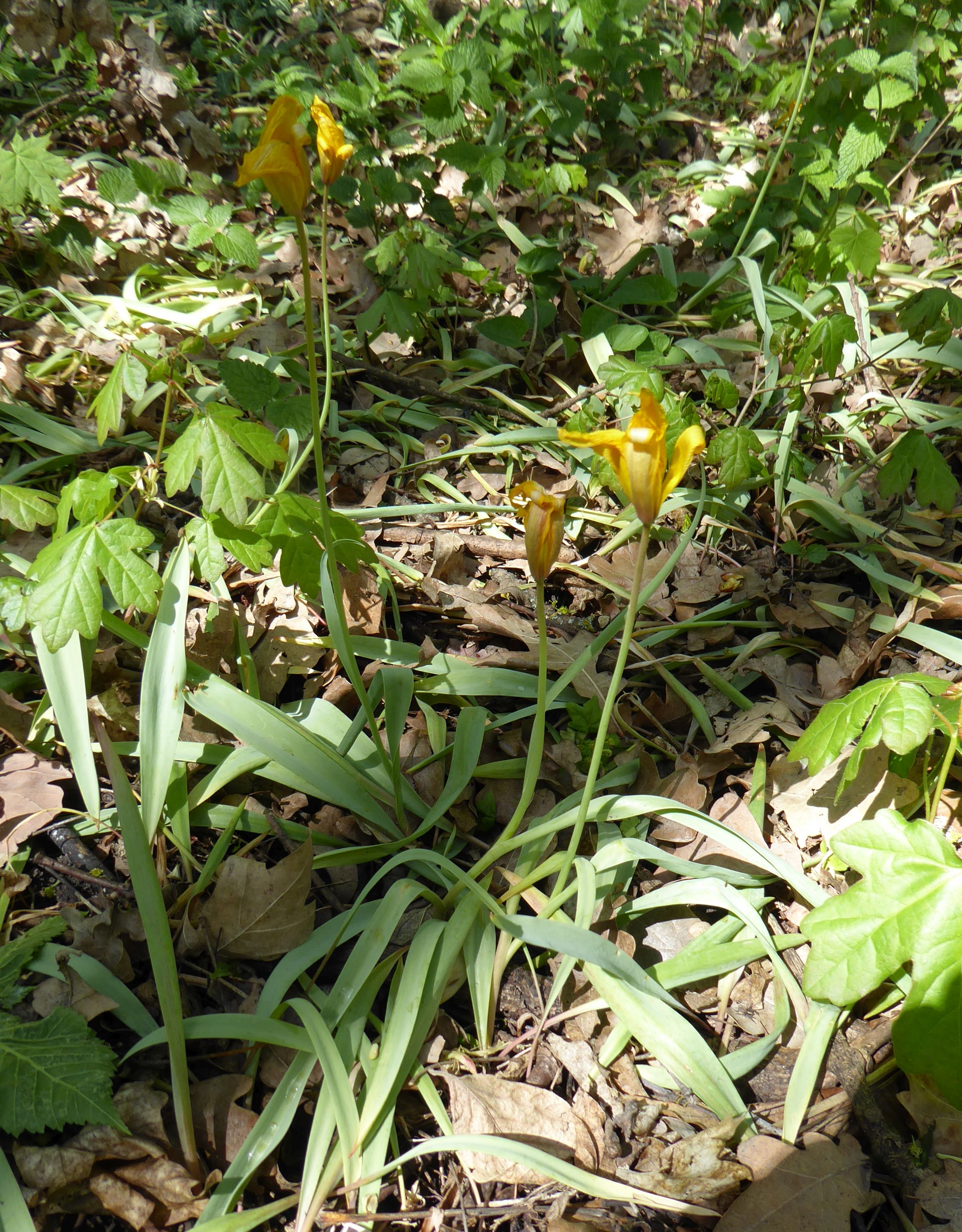 1P1030236.JPG
