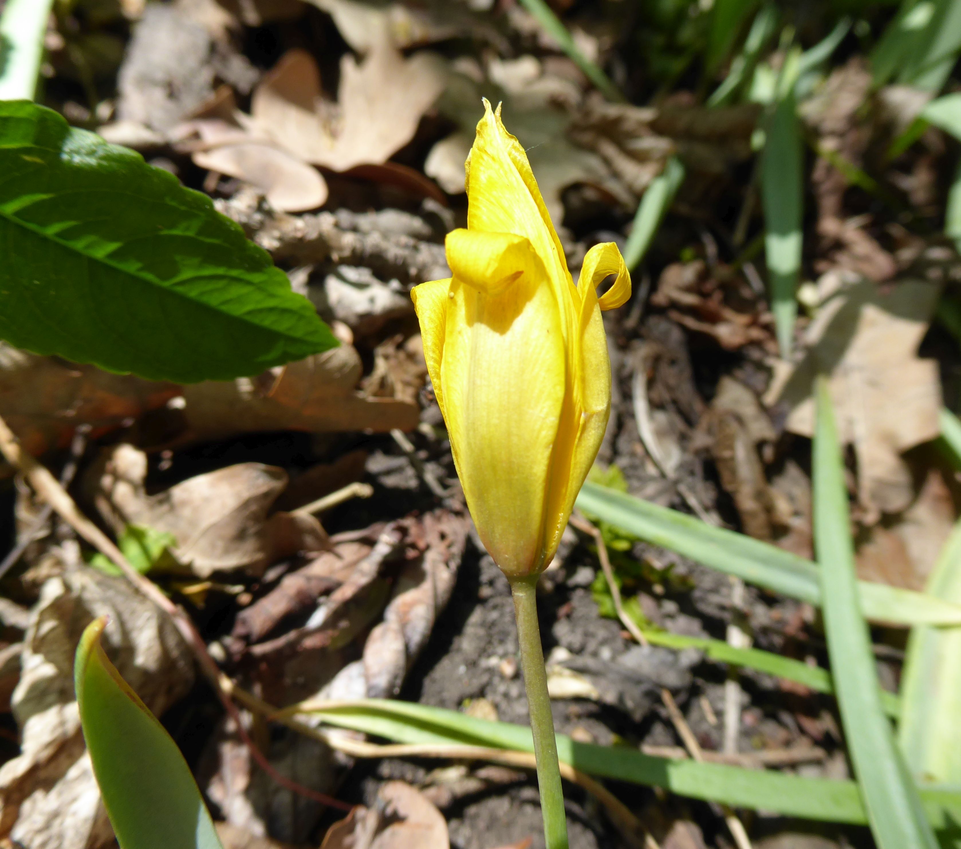 1P1030243.JPG