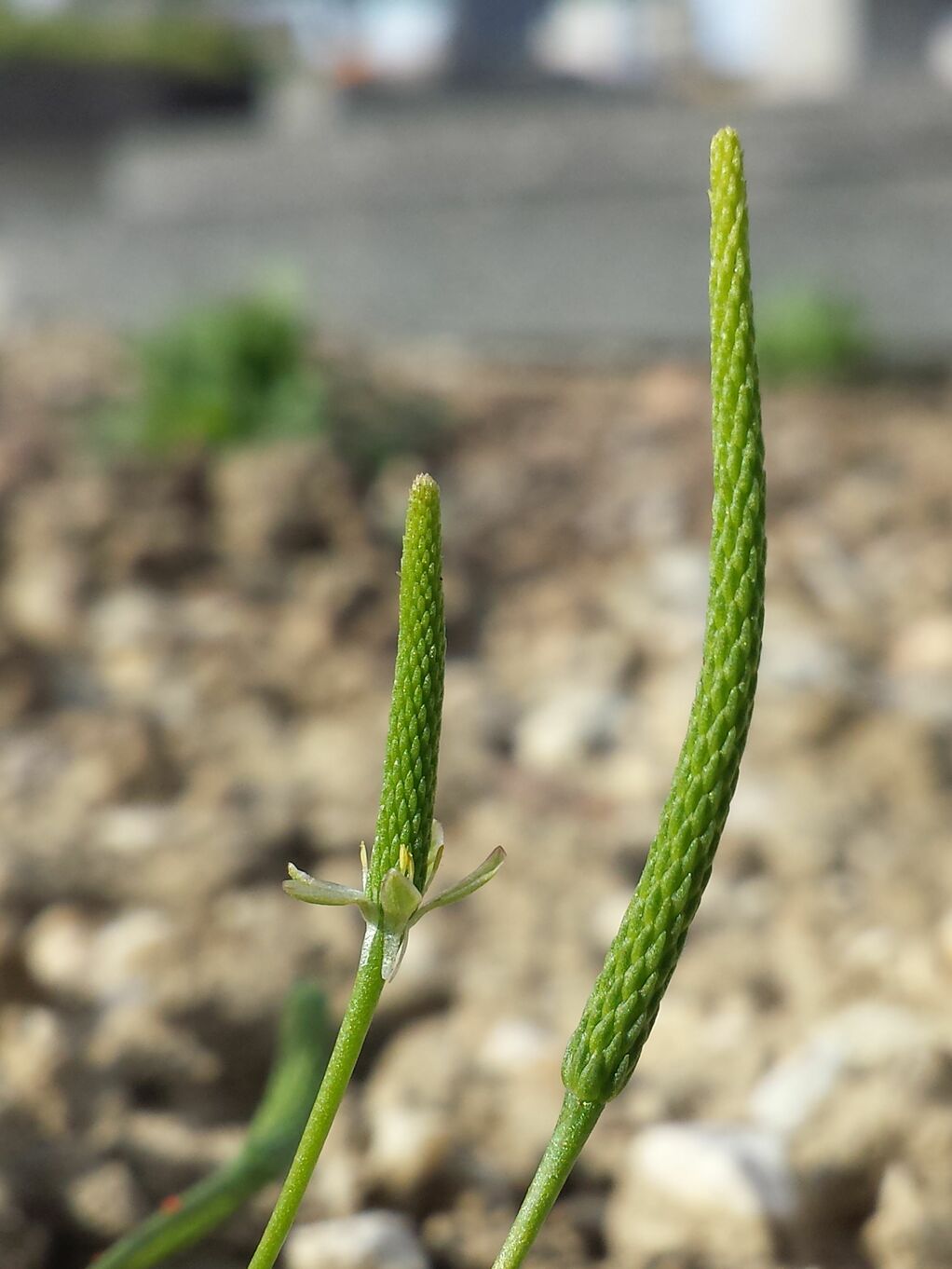 20190428_172022.jpg