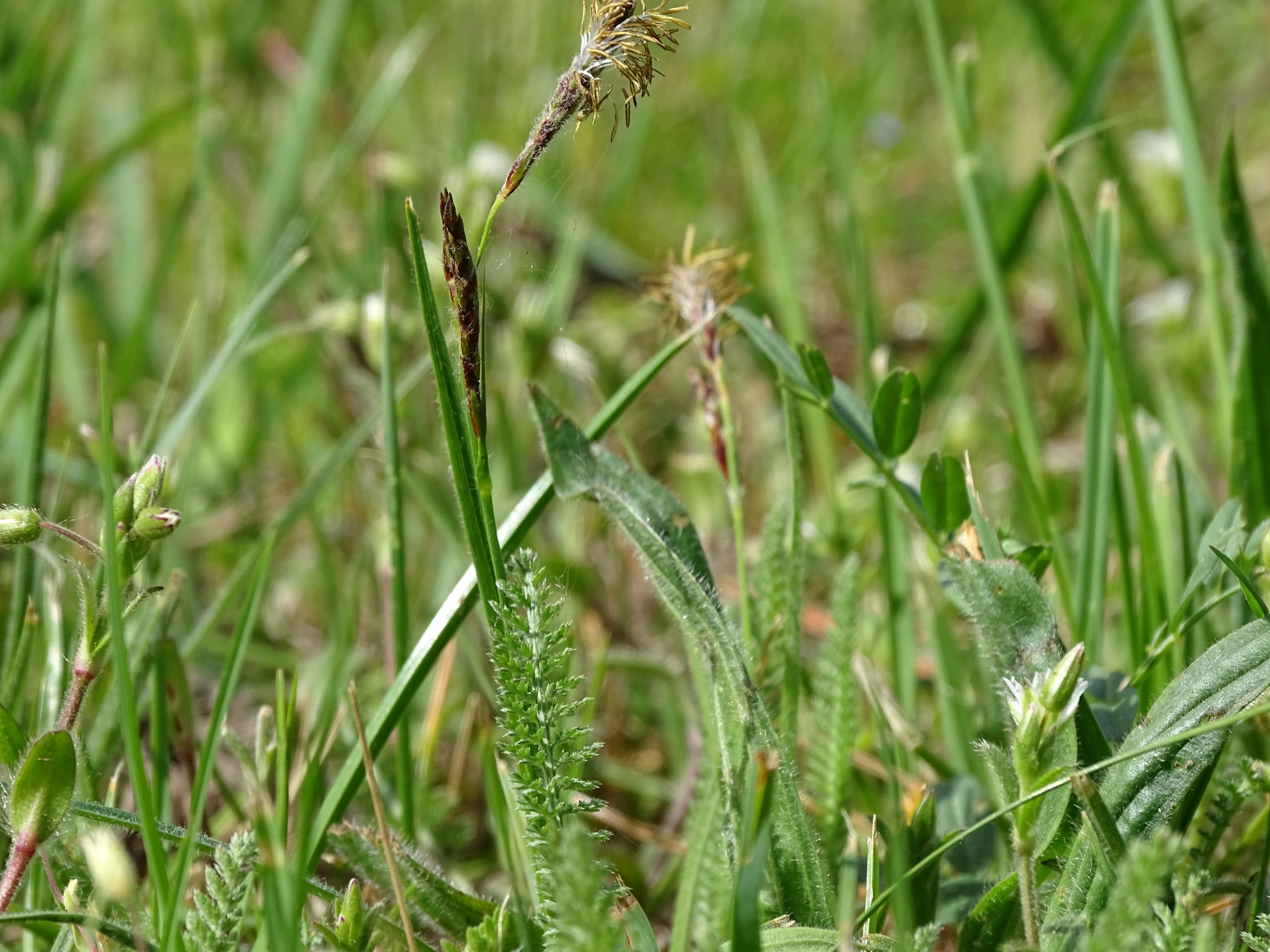 DSC00153 - Kopie.JPG