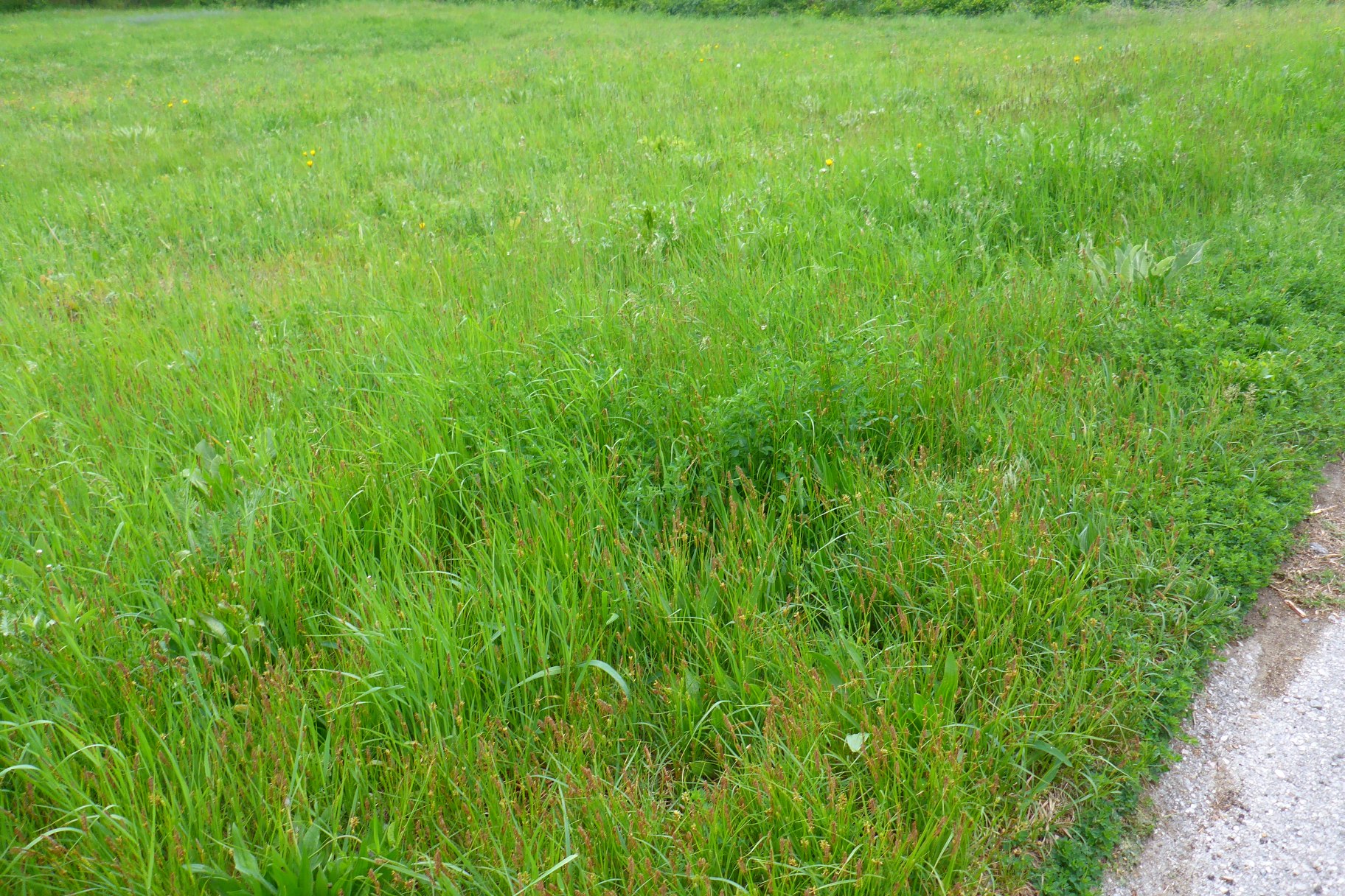 P1610525 kopie.jpg
