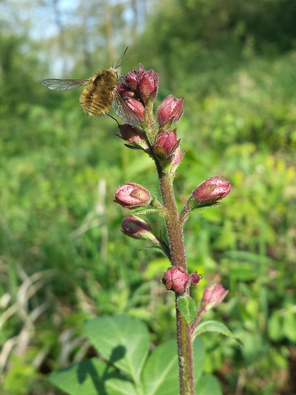 20190501_090006.jpg