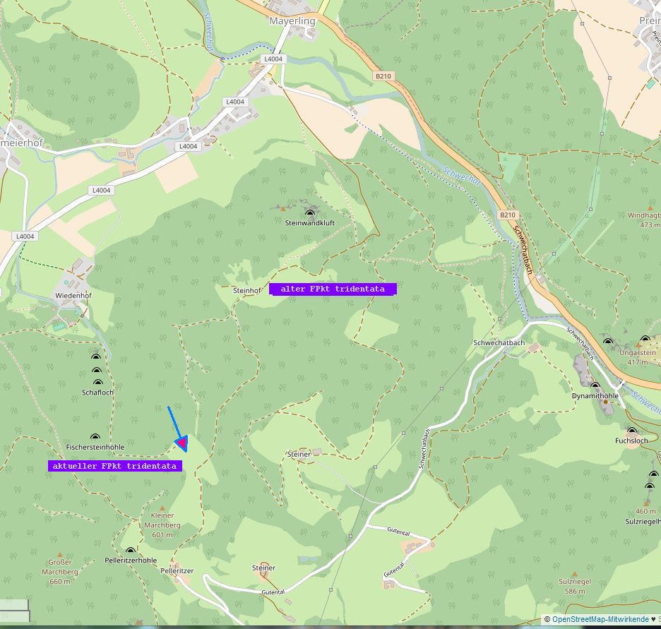 1-3P1380630 Karte OpenStreetMap.JPG