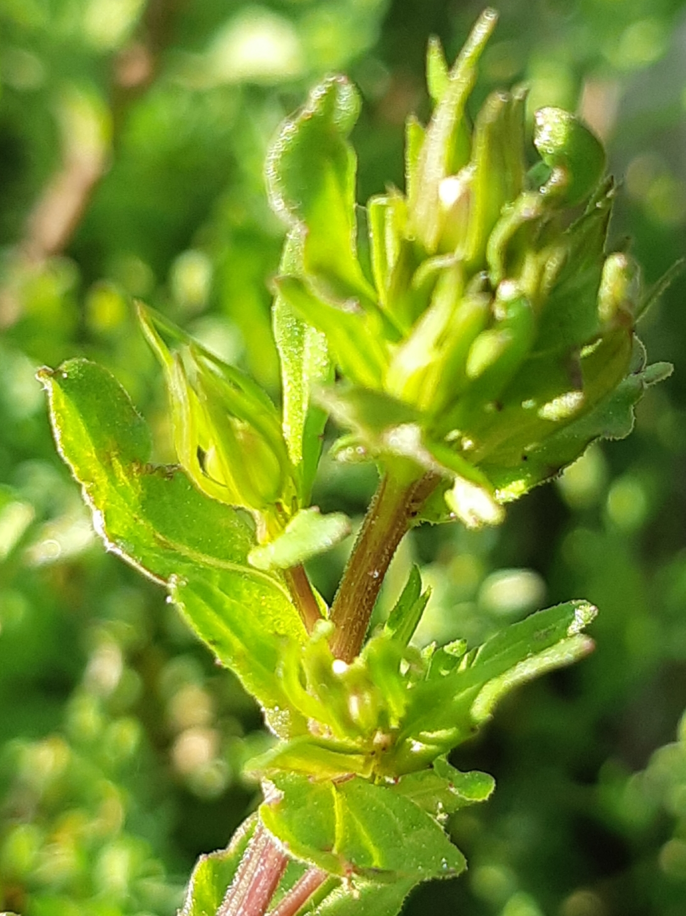 20190524_194457.jpg
