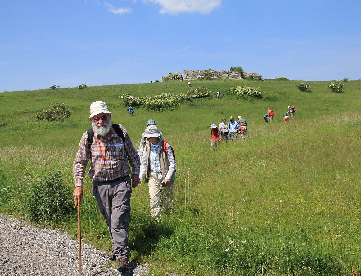 Hoelzelstein Exkursion_20190525_19.jpg