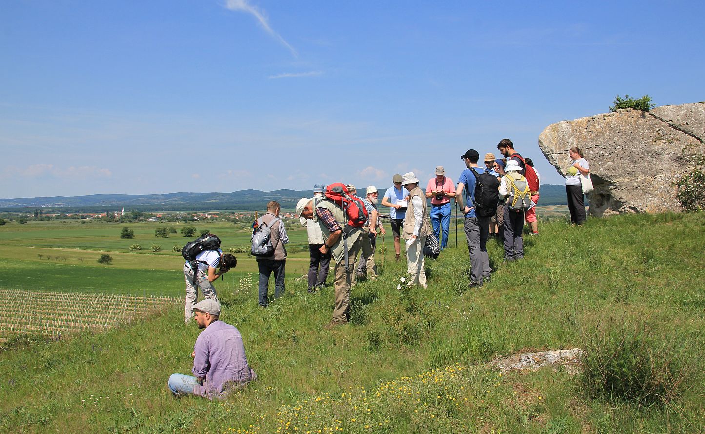 Hoelzelstein Exkursion_20190525_05.jpg
