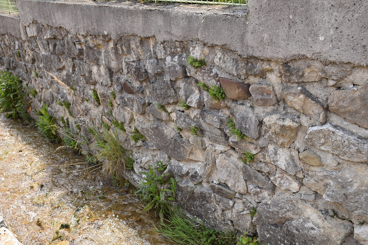 Alland-25052019-(183) - Bachmauer im Ort.JPG