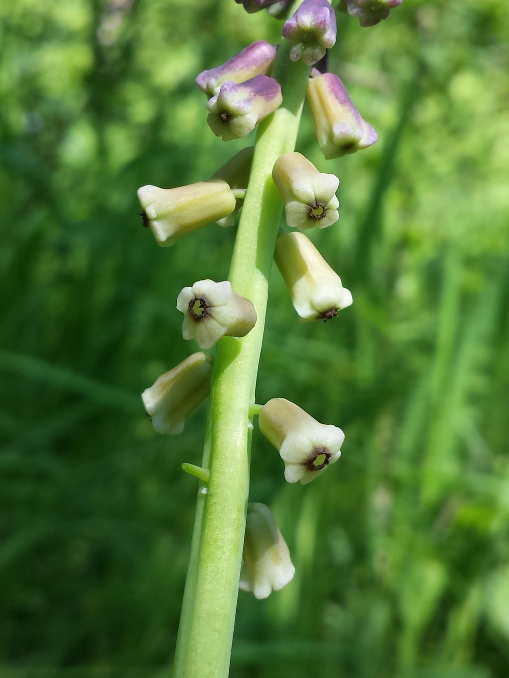 20190602_153518.jpg