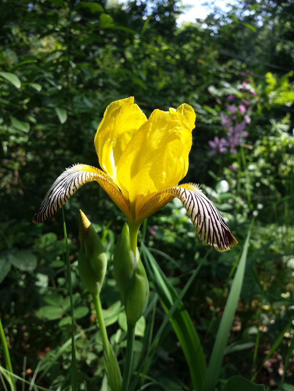 20190602_154321.jpg