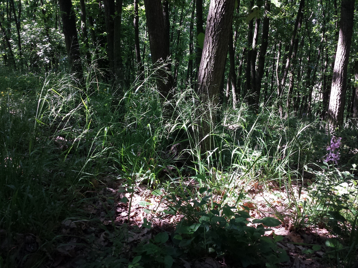 20190602_103154.jpg