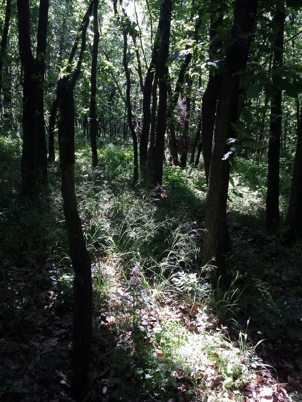 20190602_103610.jpg
