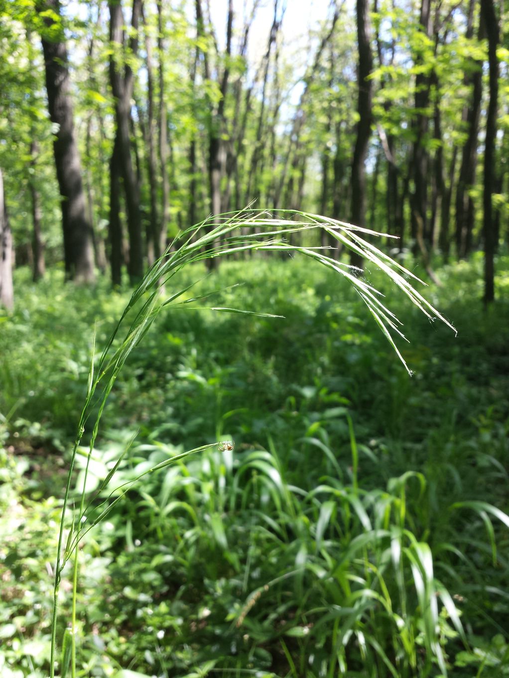 20190602_103947.jpg