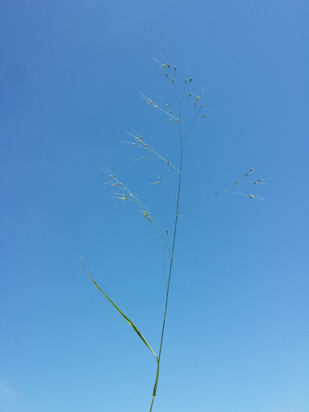 20190602_104937.jpg