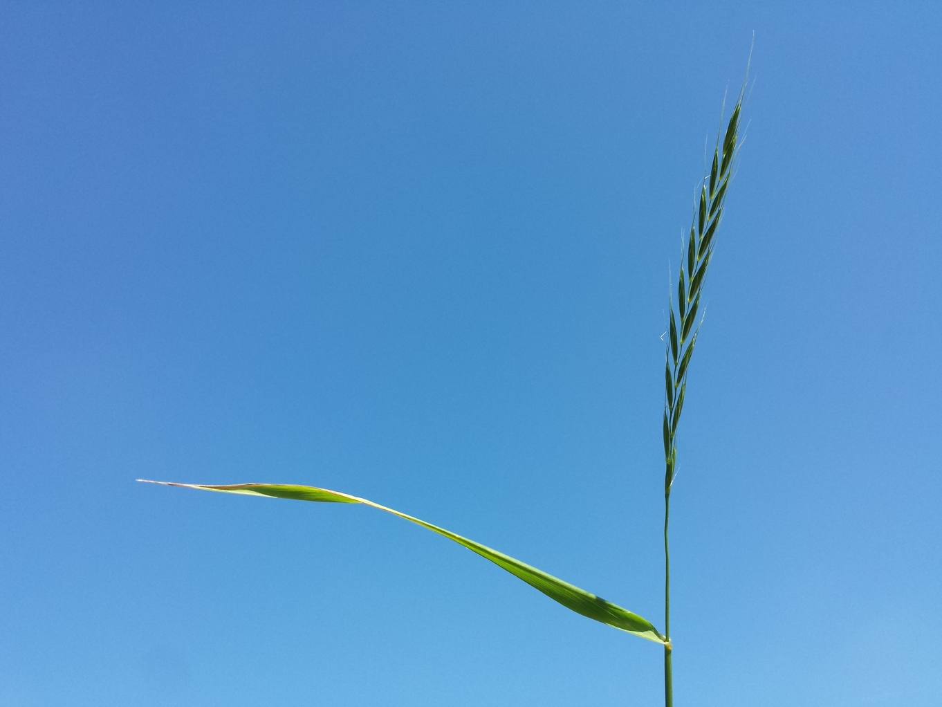 20190602_105210.jpg