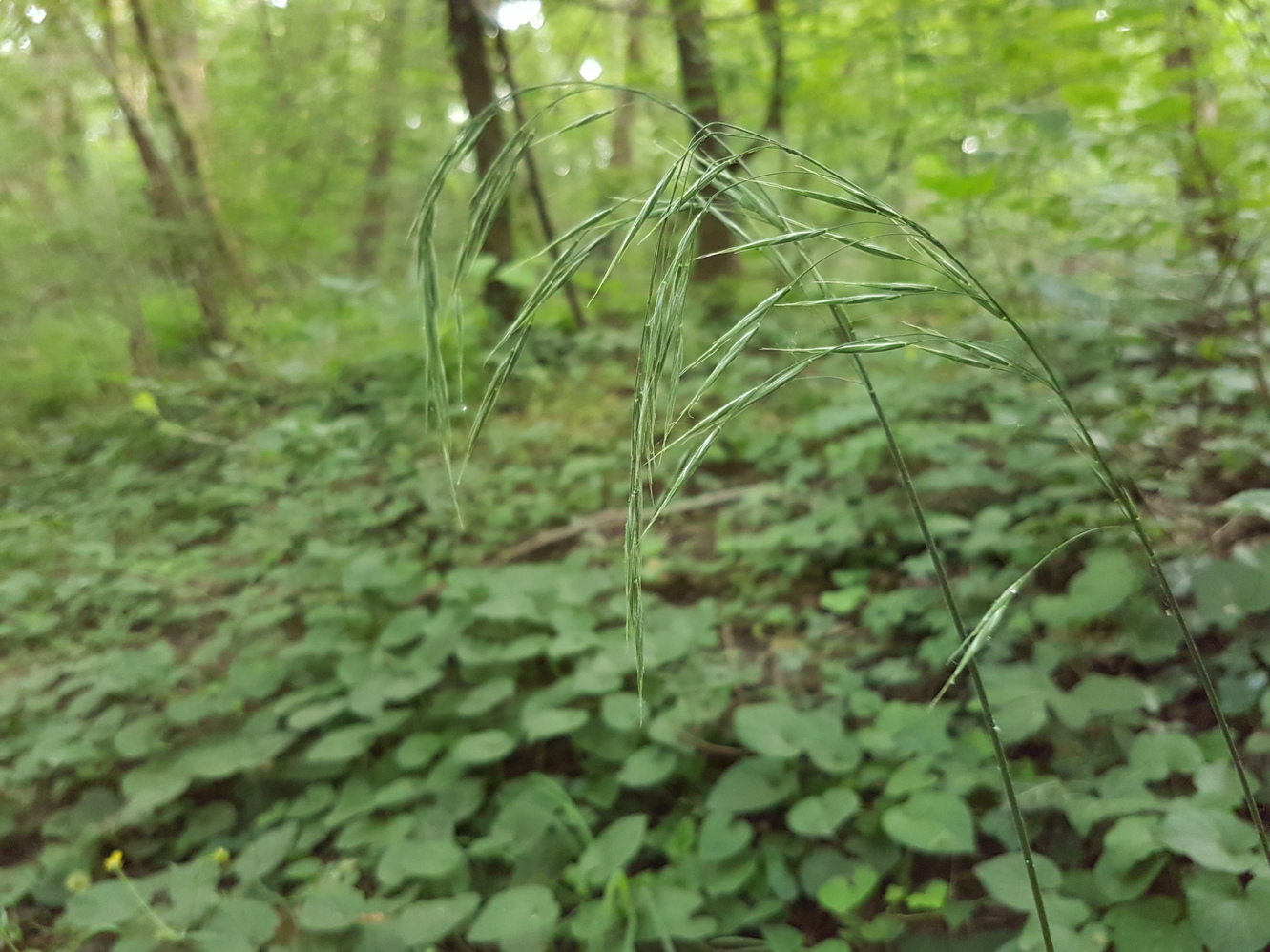 20190612_190859.jpg