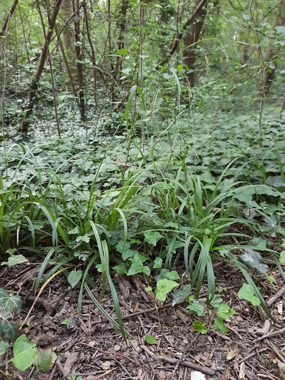 20190612_194346.jpg