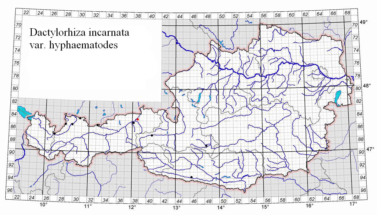 Dac.incarnata.var.hyphaematodes.Verbreitung.jpg