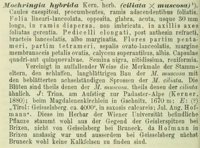 Originaldiagnose_ÖBZ_1903.jpg