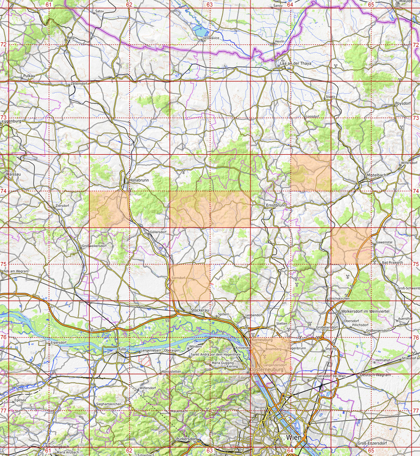 Erucastrum gallicum.jpg