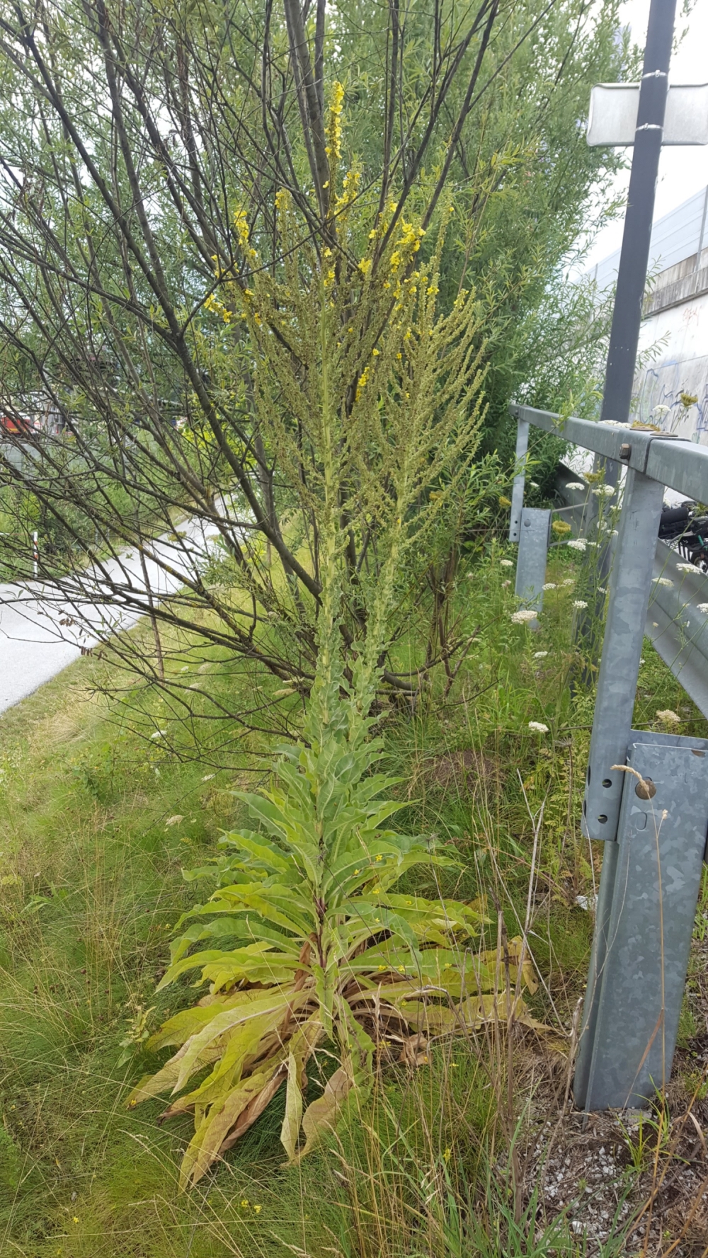 20170714_151345 - Kopie.jpg