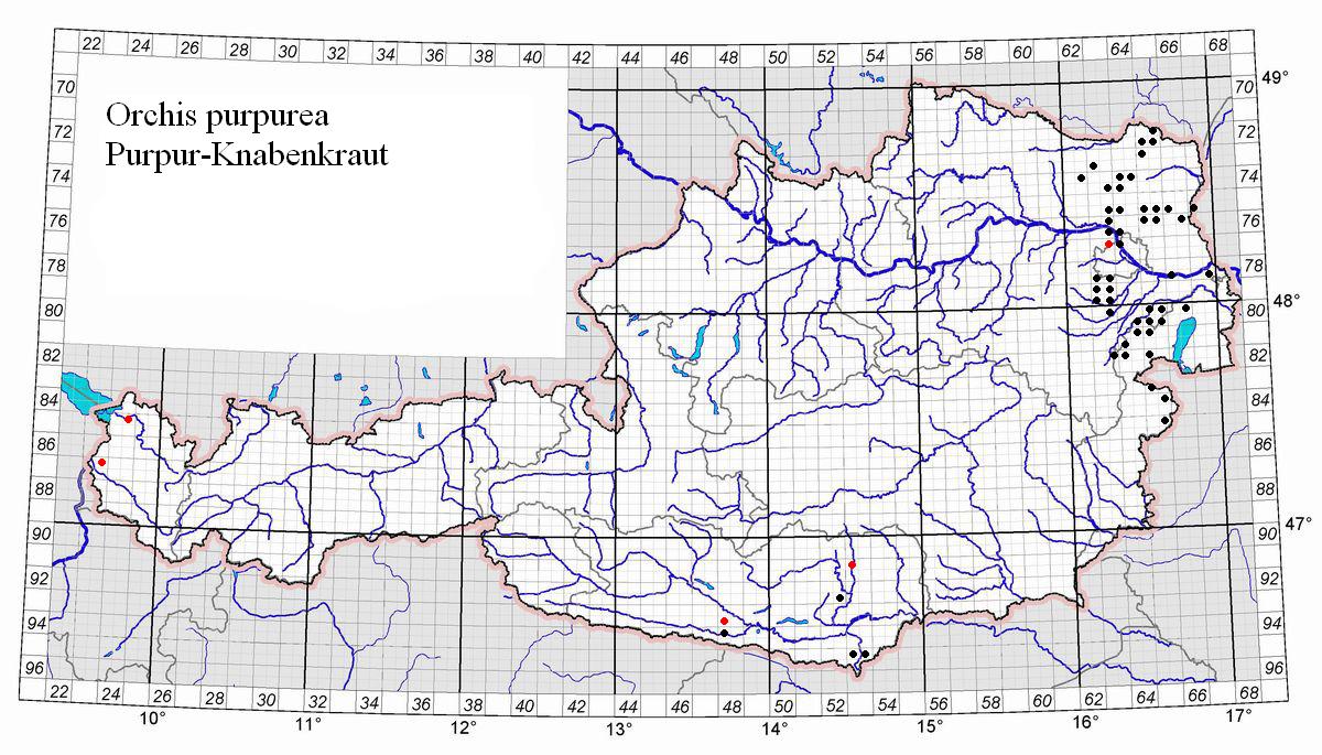 kartierungsraster b.jpg