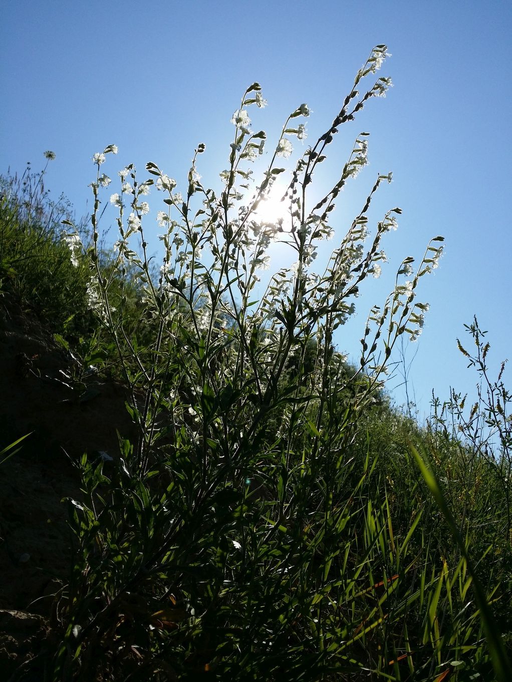 20200704_090524.jpg