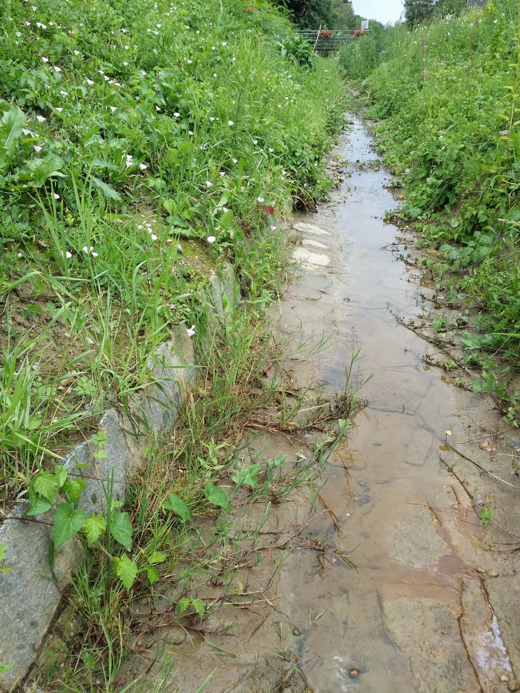 20200724_151118.jpg
