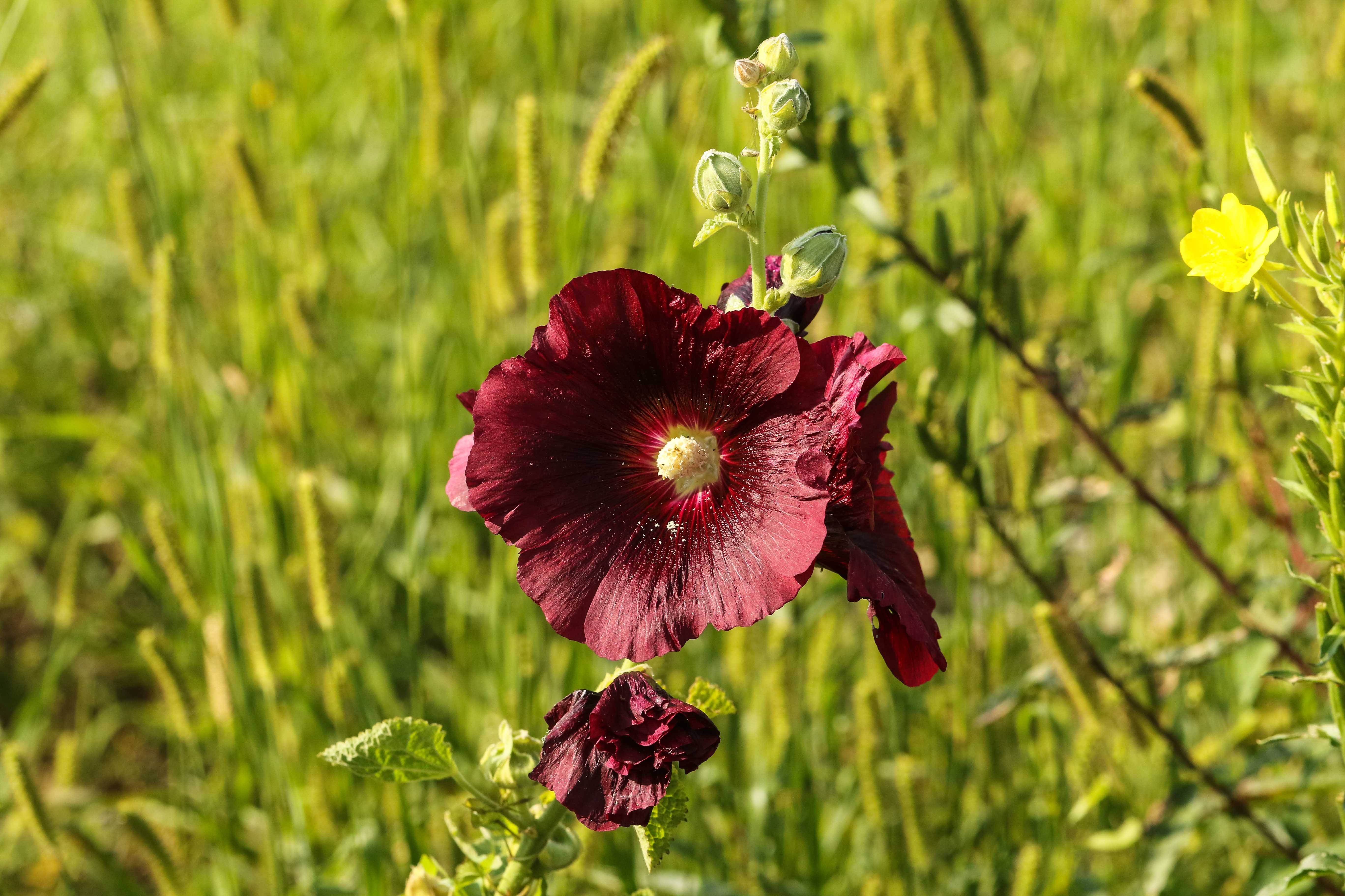 0Y0A9562.jpg