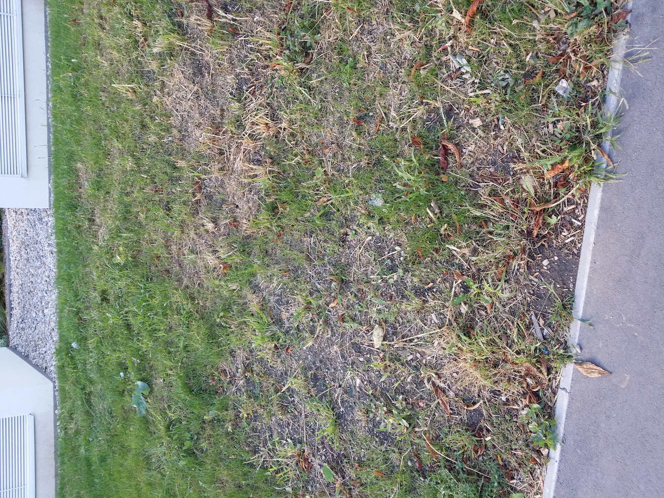 20200901_173109.jpg
