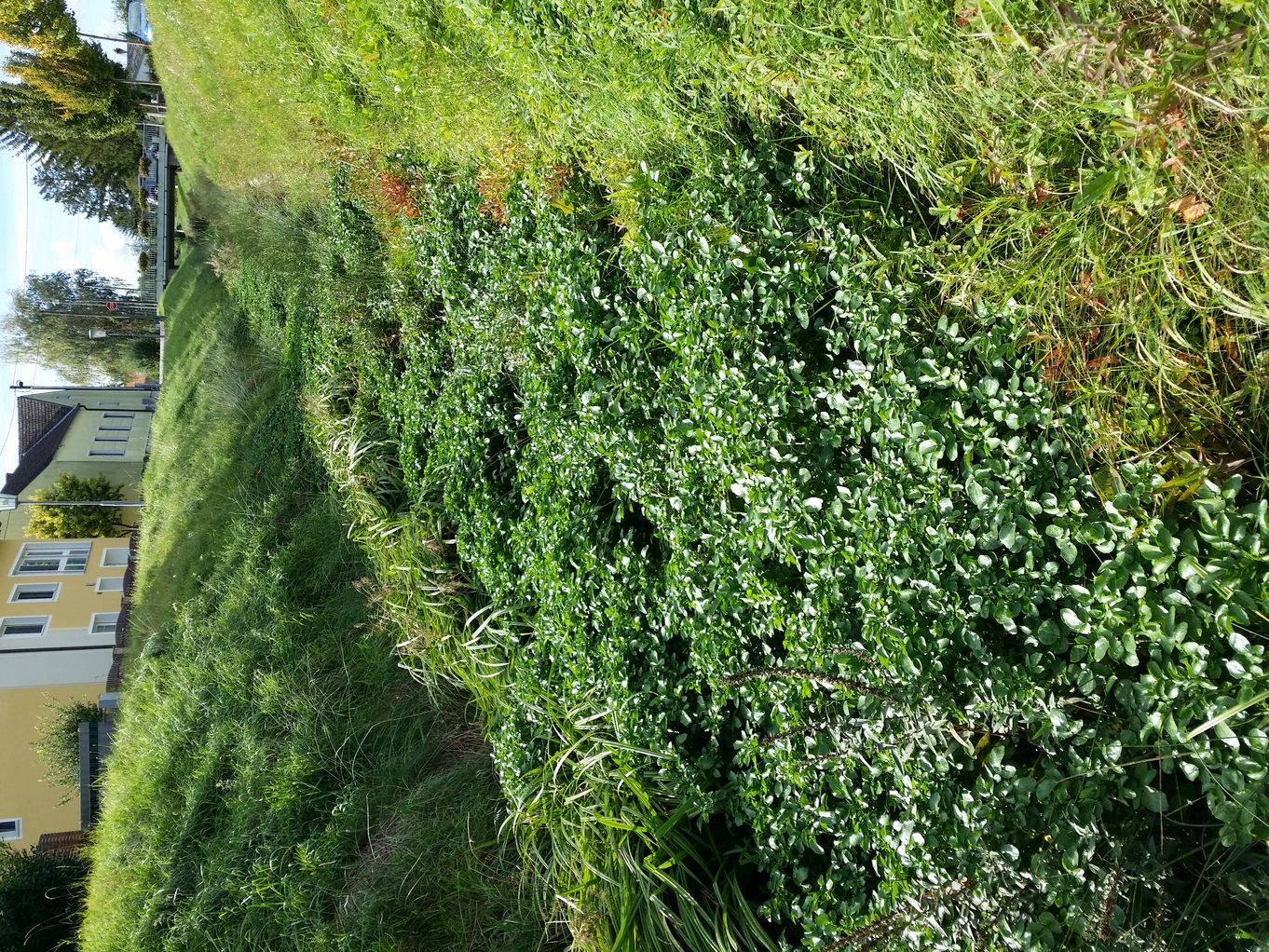 20201008_111309.jpg