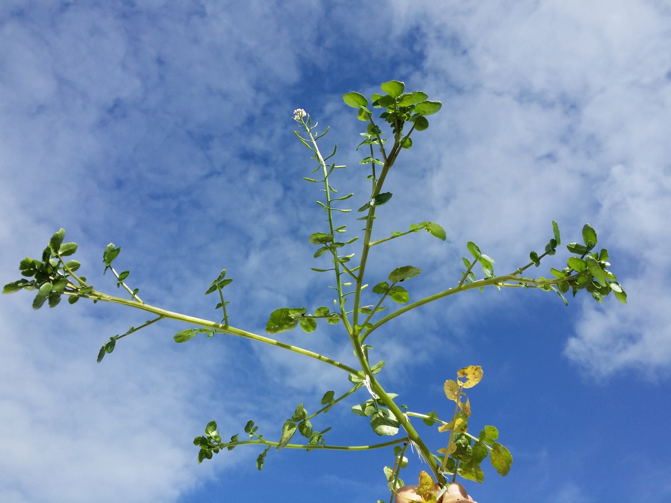 20201008_111830.jpg