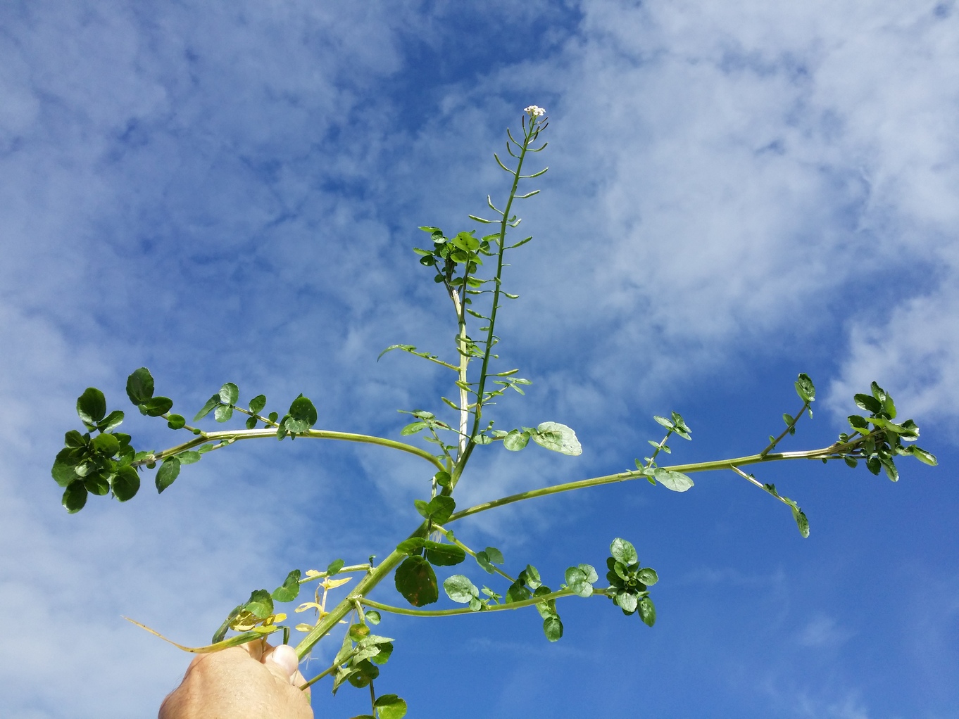 20201008_111839.jpg