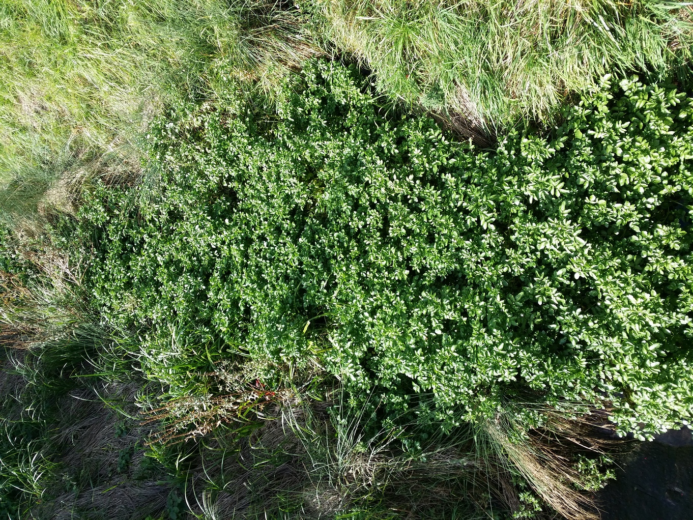 20201008_112426.jpg
