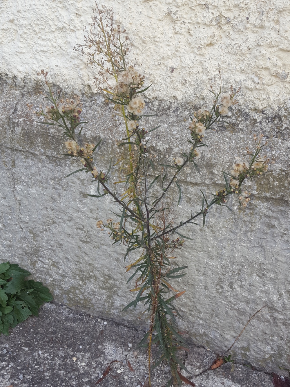 20201203_152113.jpg