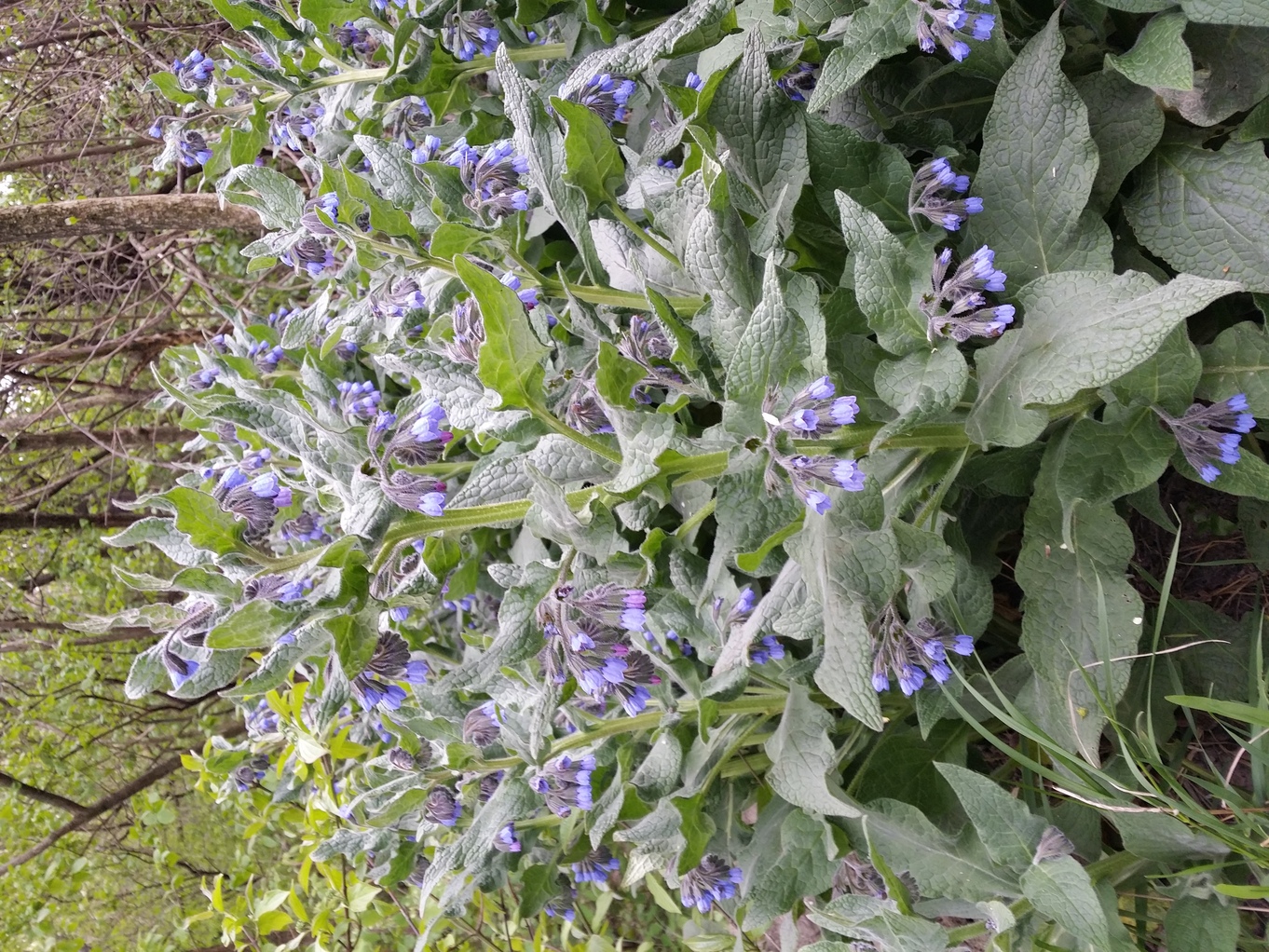 20210429_174445.jpg