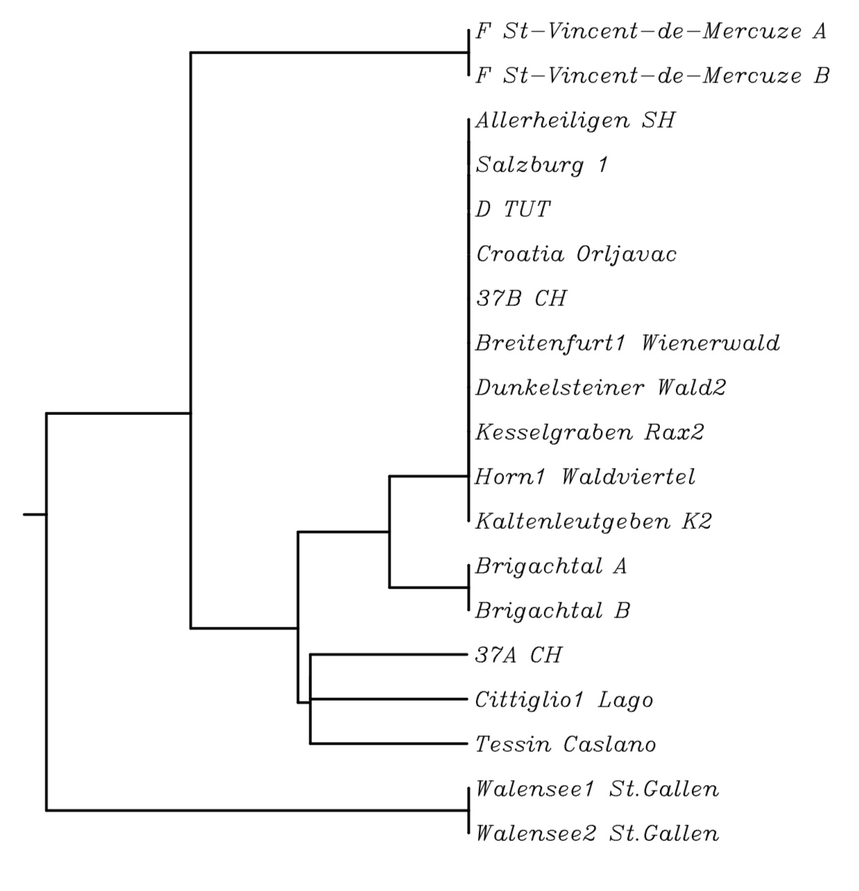 ETS tree.jpeg