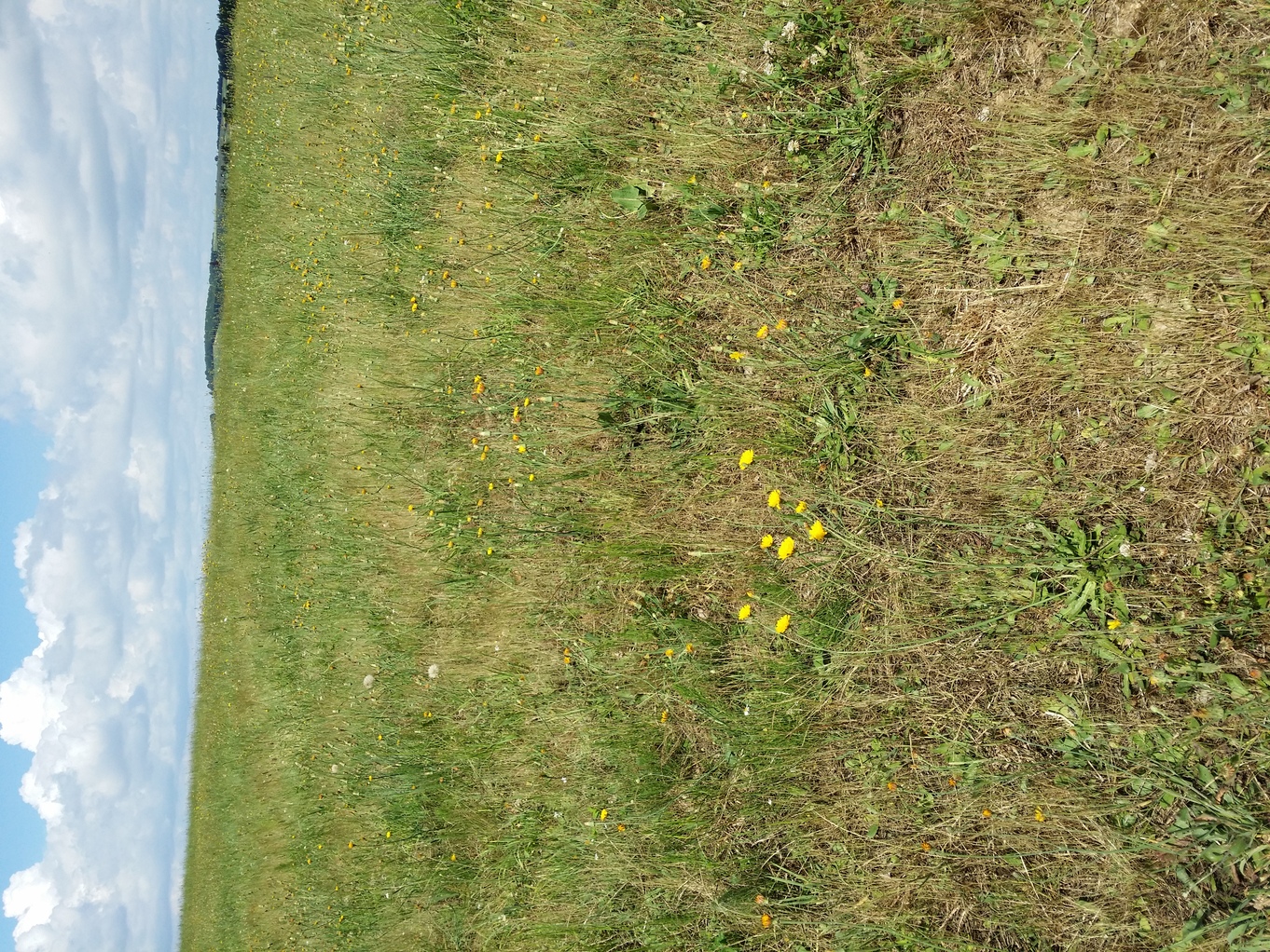 20210626_112141.jpg