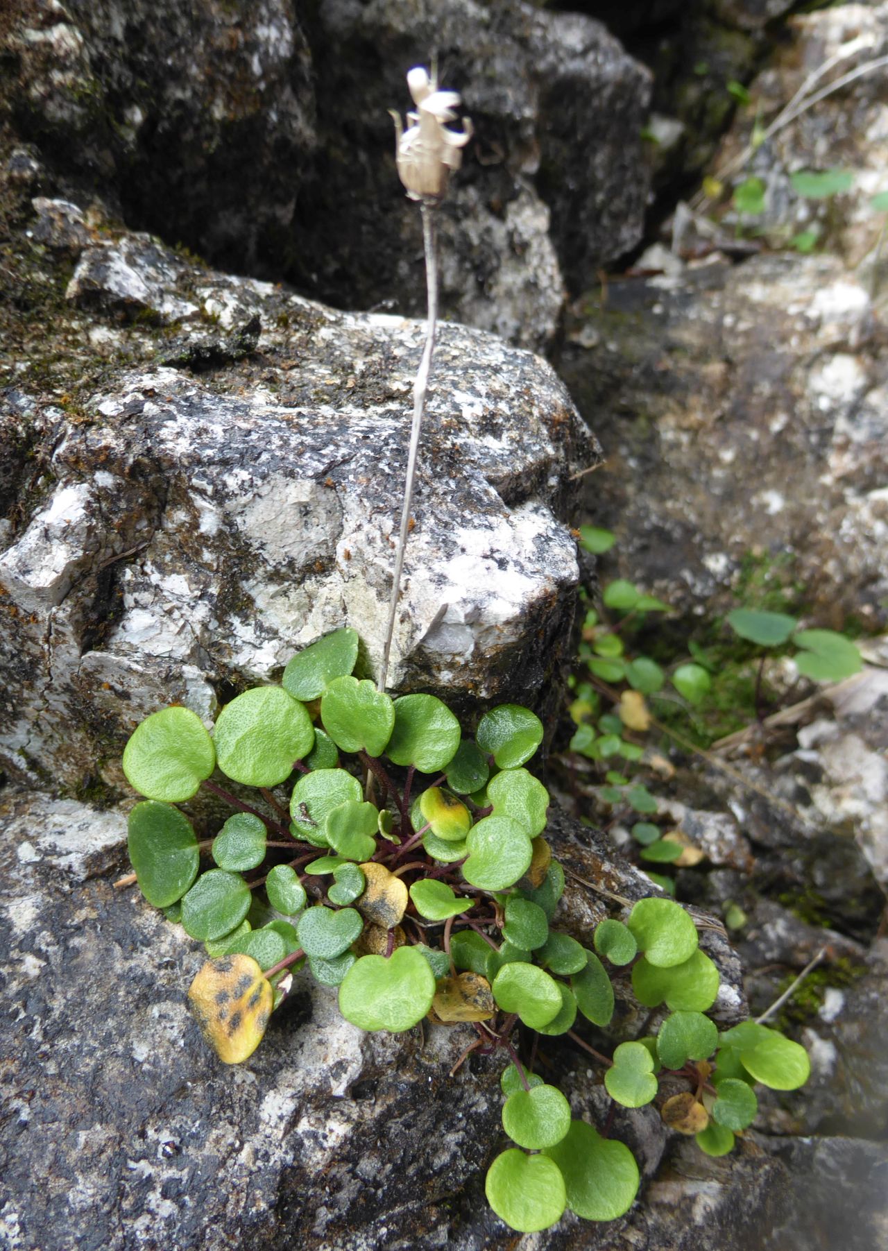 3P1040160.JPG