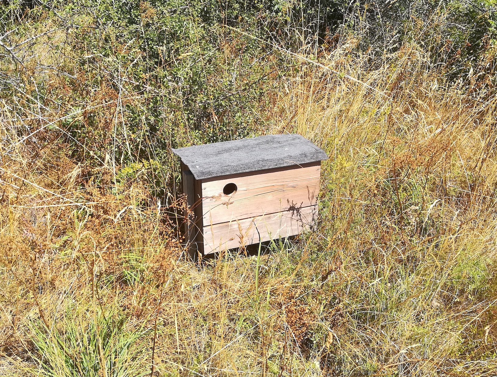 ND trockenrasen rotenbergen_20210716_111158.jpg