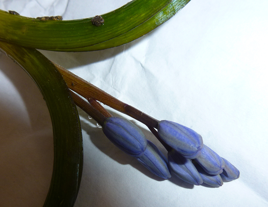 0P1540681-99 FOTO IM LOKAL.JPG